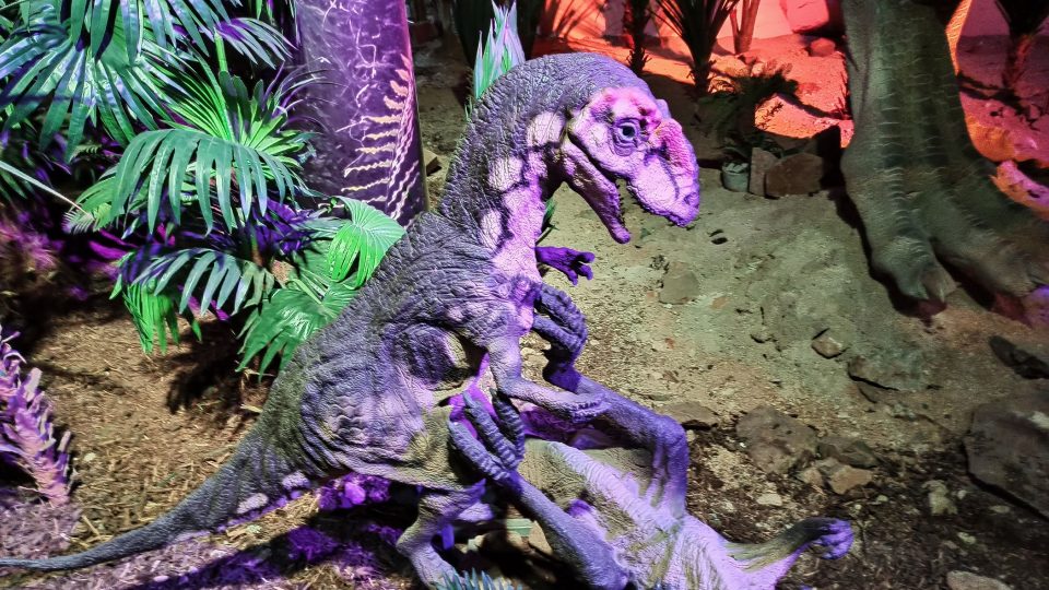 Dinosauří mláďata v libereckém DinoParku