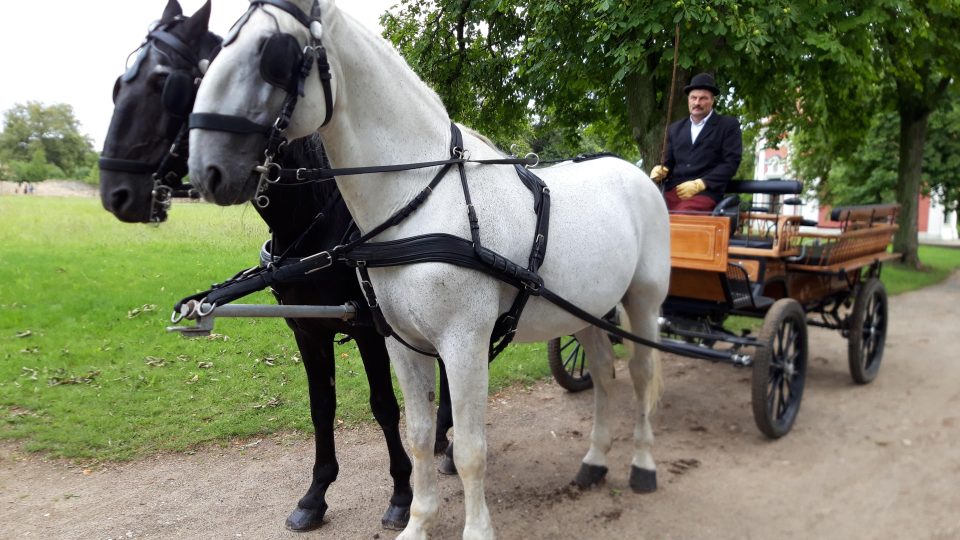 Návštěvníci se mohli stylově svézt po zámecké zahradě v kočáře taženém koňmi