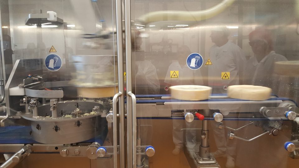 Výroba sýru Niva