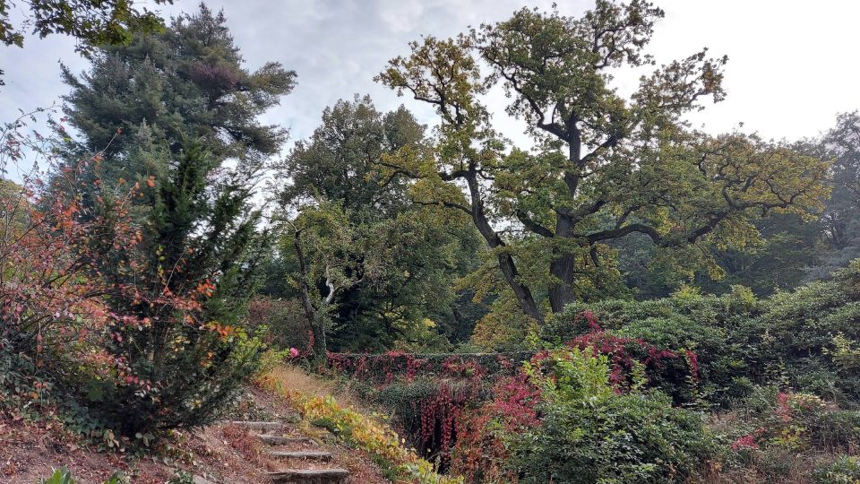 Na podzim hraje zámecký park nádhernými barvami