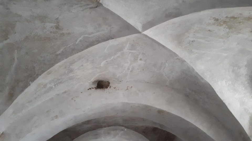 Vlaštovčí hnízdo v nejstarším renezančním sále