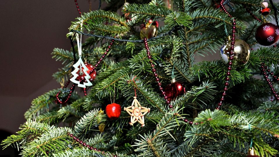 Až vánoční stromek přestane zdobit, může být ještě užitečný