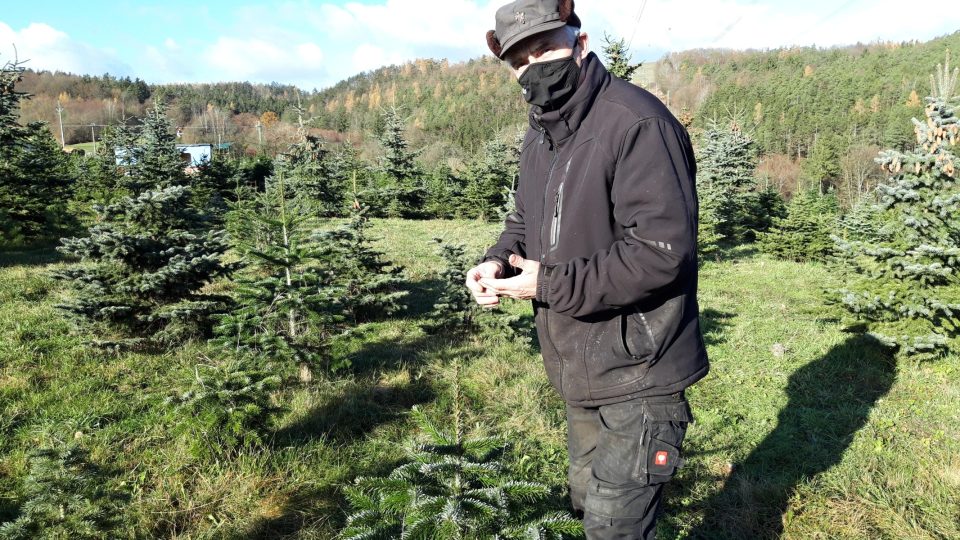 Celý rok se rodinné plantáži s vánočními stromky věnuje hlavně Václav Beneš. Pomáhají mu dospělé děti i vnoučata