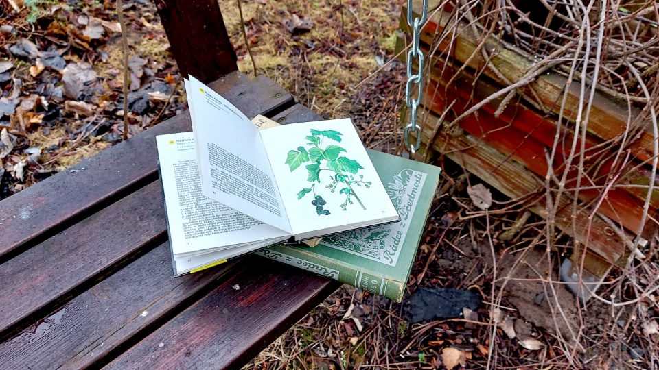 Zahradnickou literaturu seženete třeba i v antikvariátu