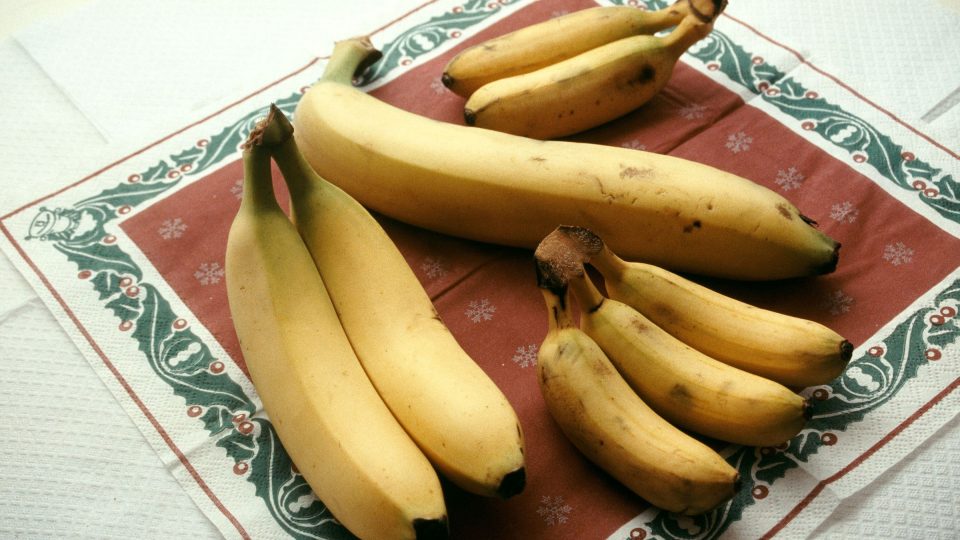 Banán sloní kel, obyčejné a baby banány