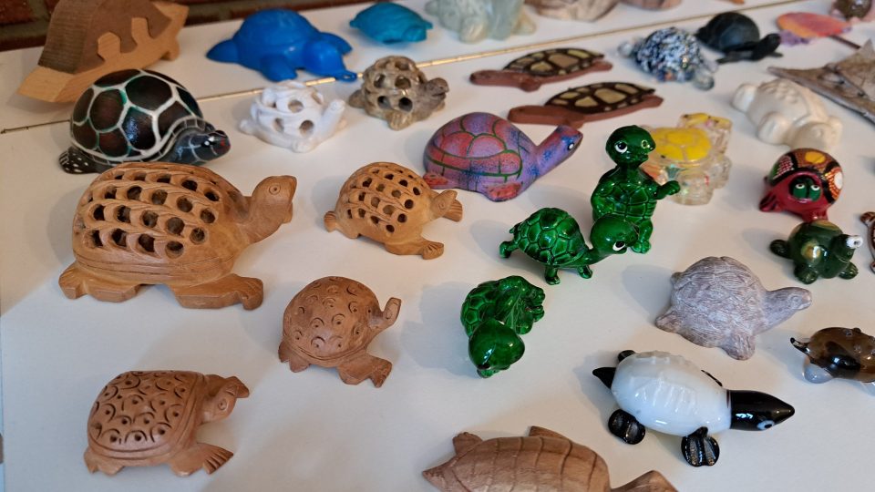 Předměty ve tvaru želvy jsou ze skla, kovu, plastu i plyše - foto Bára Kvapilová.jpg