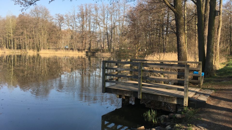 Borecké rybníky na Karlovarsku