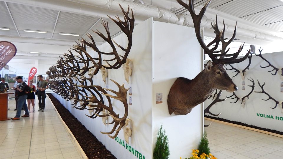 Na výstavě v Lysé nad Labem jsou k vidění i unikátní lovecké trofeje