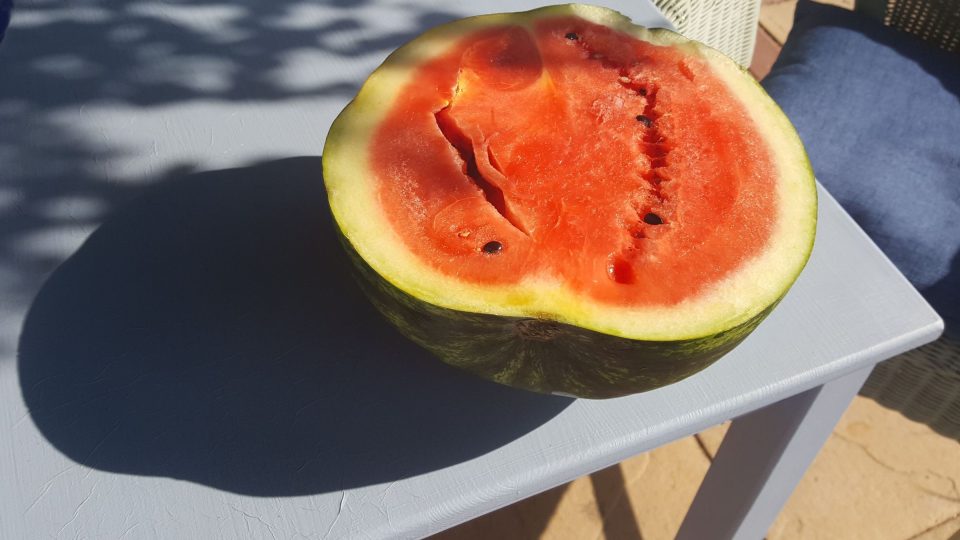 Vodní meloun tvoří minimálně z 80 % voda, je bohatým zdrojem vitamínu C