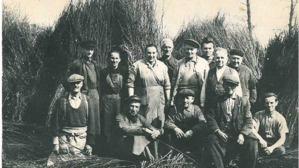 Košíkáři z Mělnicka pletli koše pro zemědělce i továrny. Zaměřovali se také třeba na nábytek a bytové doplňky
