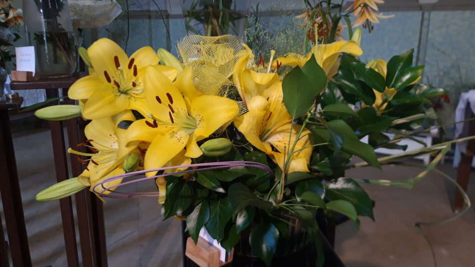 Prostory Rabasovy galerie v Rakovníku zaplnily nádherné květy lilií