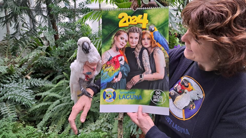 Papoušci z Laguny nedávno nafotili vlastní kalendář
