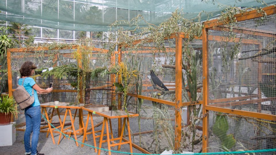 Výstava exotického ptactva v Botanické zahradě Na Slupi