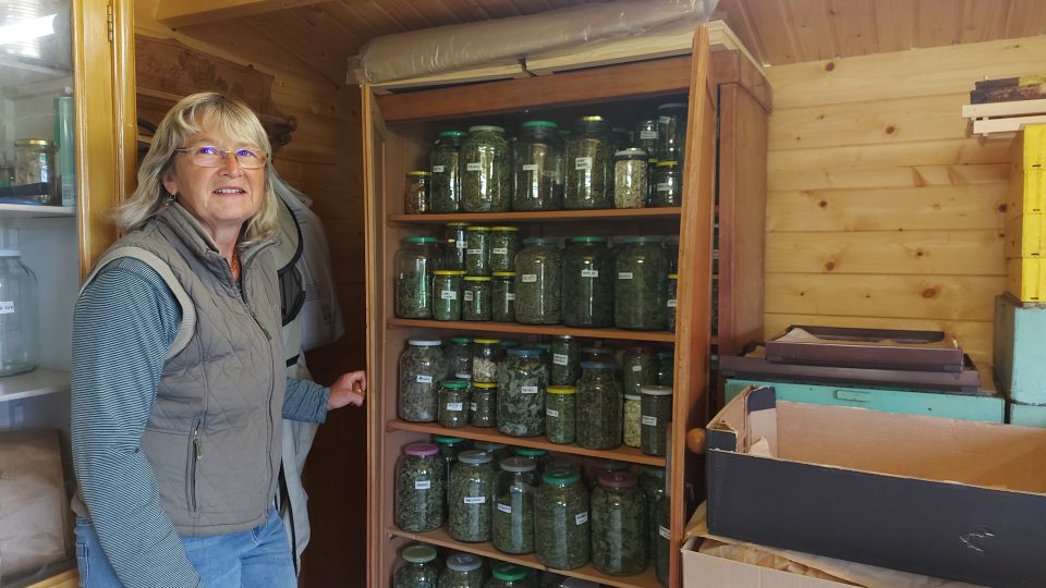 Paní Věra Stříbrská u skříně, kde skladuje usušené byliny pro další zpracování