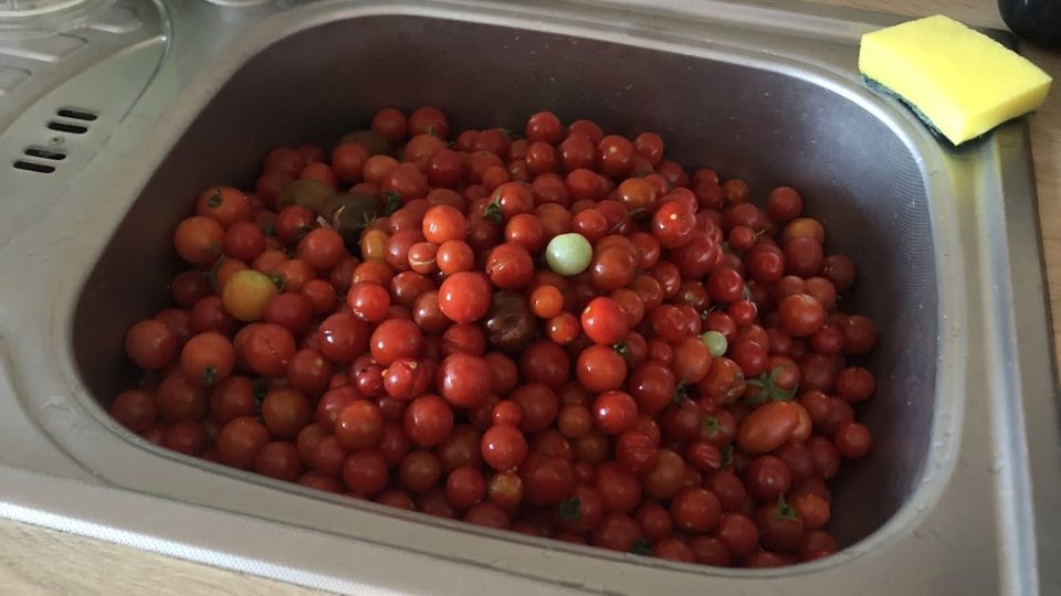 Než paní Eva z úrody lahodných rajčat vykouzlí kečup a rajčatovou omáčku, je to hodně práce