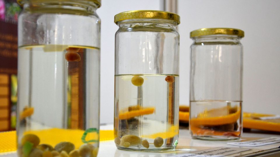 Jednoduchý test prokazující čistotu včelího vosku